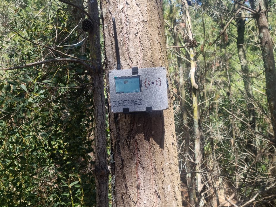 A TacNet capture-point unit mounted on a tree in the forest during a field test